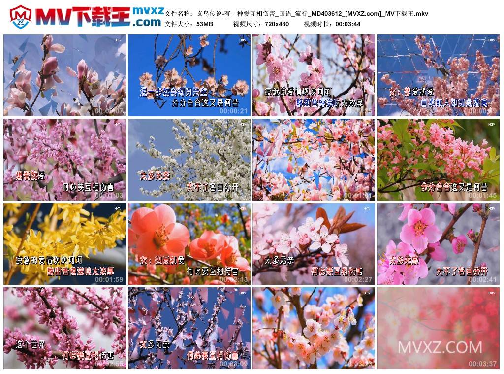 玄鸟传说-有一种爱互相伤害_国语_流行_MD403612